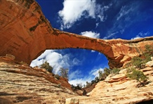 Natural Bridges National Monument